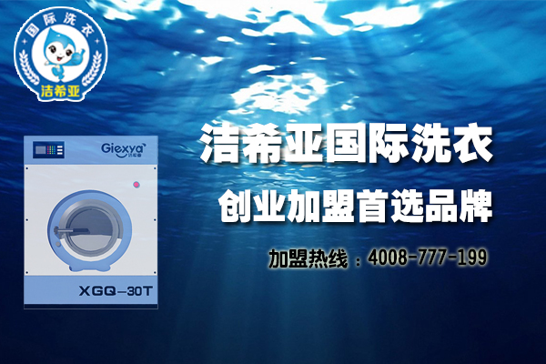 苯胺革服裝洗后效果的綜合驗定 苯胺革服裝洗后效果的綜合驗定